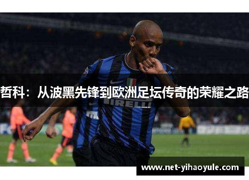 哲科:从波黑先锋到欧洲足坛传奇的荣耀之路 哲科:从波黑先锋到欧洲足坛传奇的荣耀之路