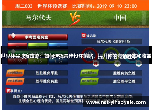 世界杯买球赛攻略:如何选择最佳投注策略,提升你的竞猜胜率和收益 世界杯买球赛攻略:如何选择最佳投注策略,提升你的竞猜胜率和收益