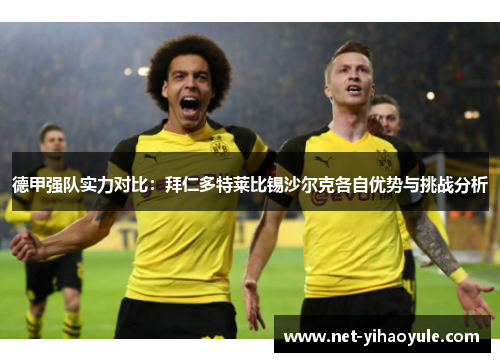 德甲强队实力对比:拜仁多特莱比锡沙尔克各自优势与挑战分析 德甲强队实力对比:拜仁多特莱比锡沙尔克各自优势与挑战分析