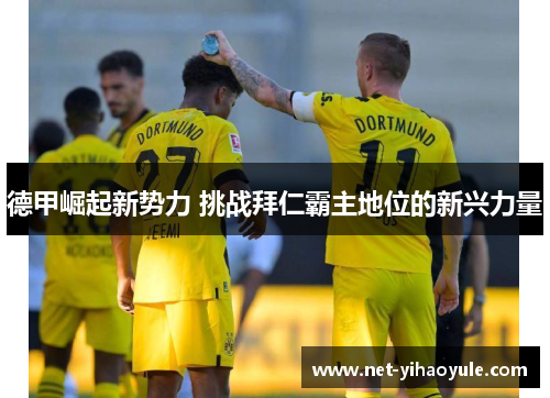 德甲崛起新势力 挑战拜仁霸主地位的新兴力量