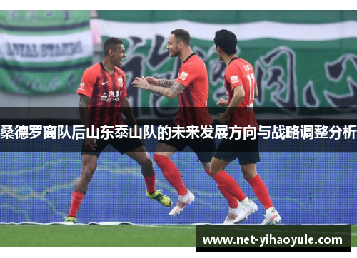 桑德罗离队后山东泰山队的未来发展方向与战略调整分析