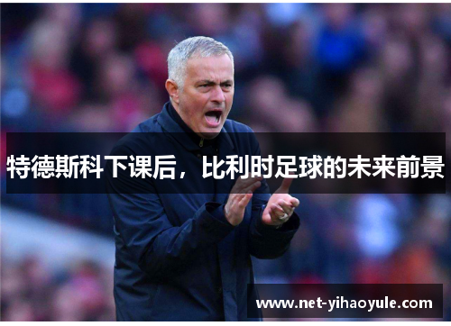 特德斯科下课后,比利时足球的未来前景 特德斯科下课后,比利时足球的未来前景