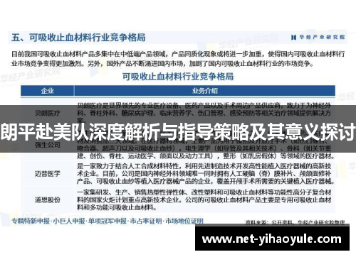 朗平赴美队深度解析与指导策略及其意义探讨